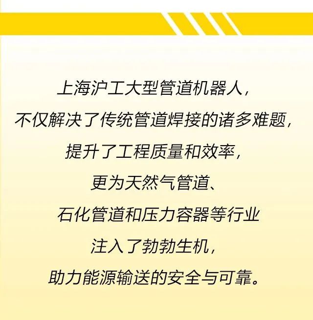 上海多特蒙德中文