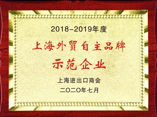 上海多特蒙德中文 荣誉奖牌