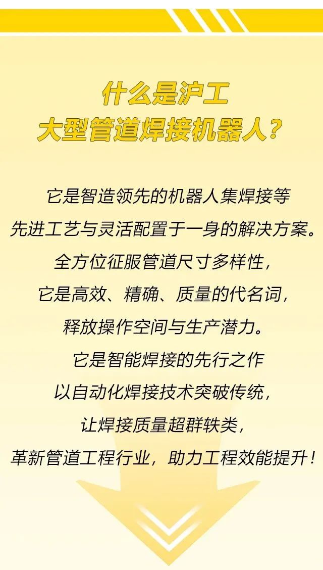 上海多特蒙德中文