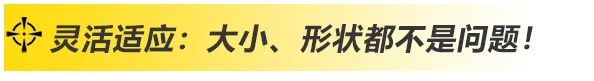 上海多特蒙德中文