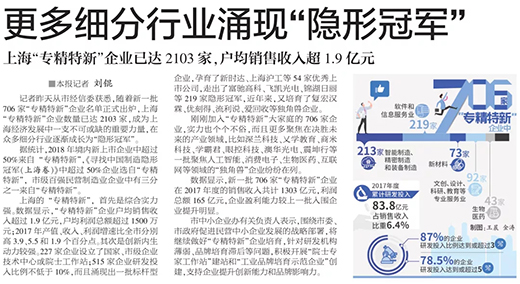 权威官媒《解放日报》点赞上海多特蒙德中文：优秀上市公司，上海“专精特新”标杆型企业